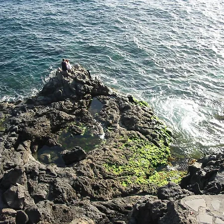 아파트 Westhaven Bay *